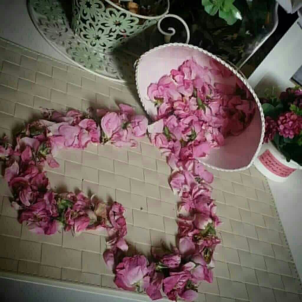 علم بهتر است یا عشق؟