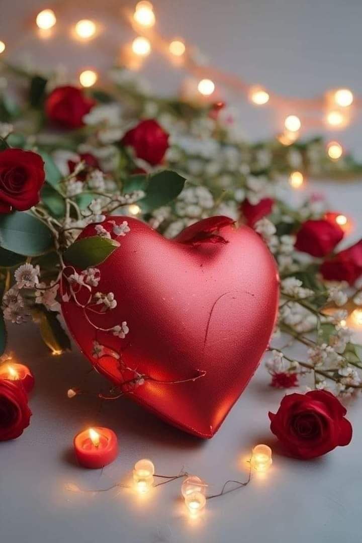 دیگر نمی گذارم قلبم بشکند