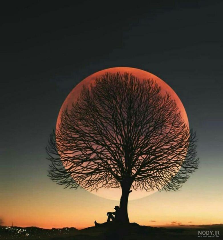 اشکهایم کجا باریدند؟