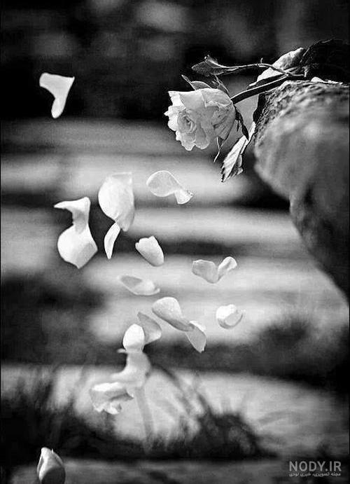 ریشه درد و رنج