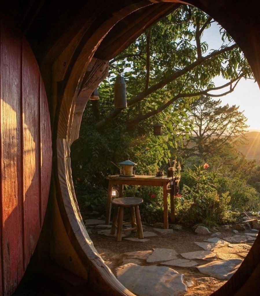 ظهور و غیبت