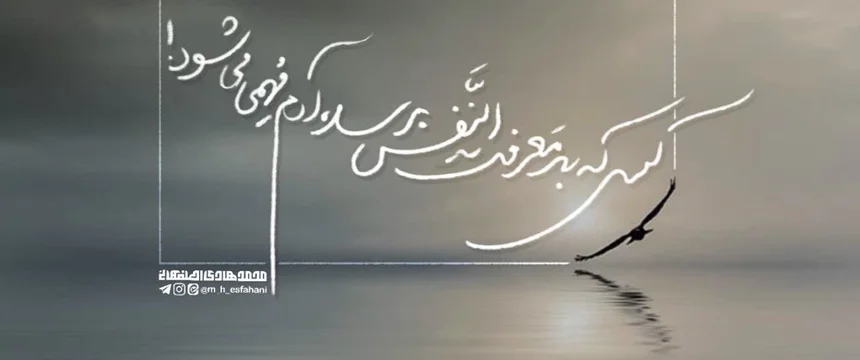 باز هم نگاه