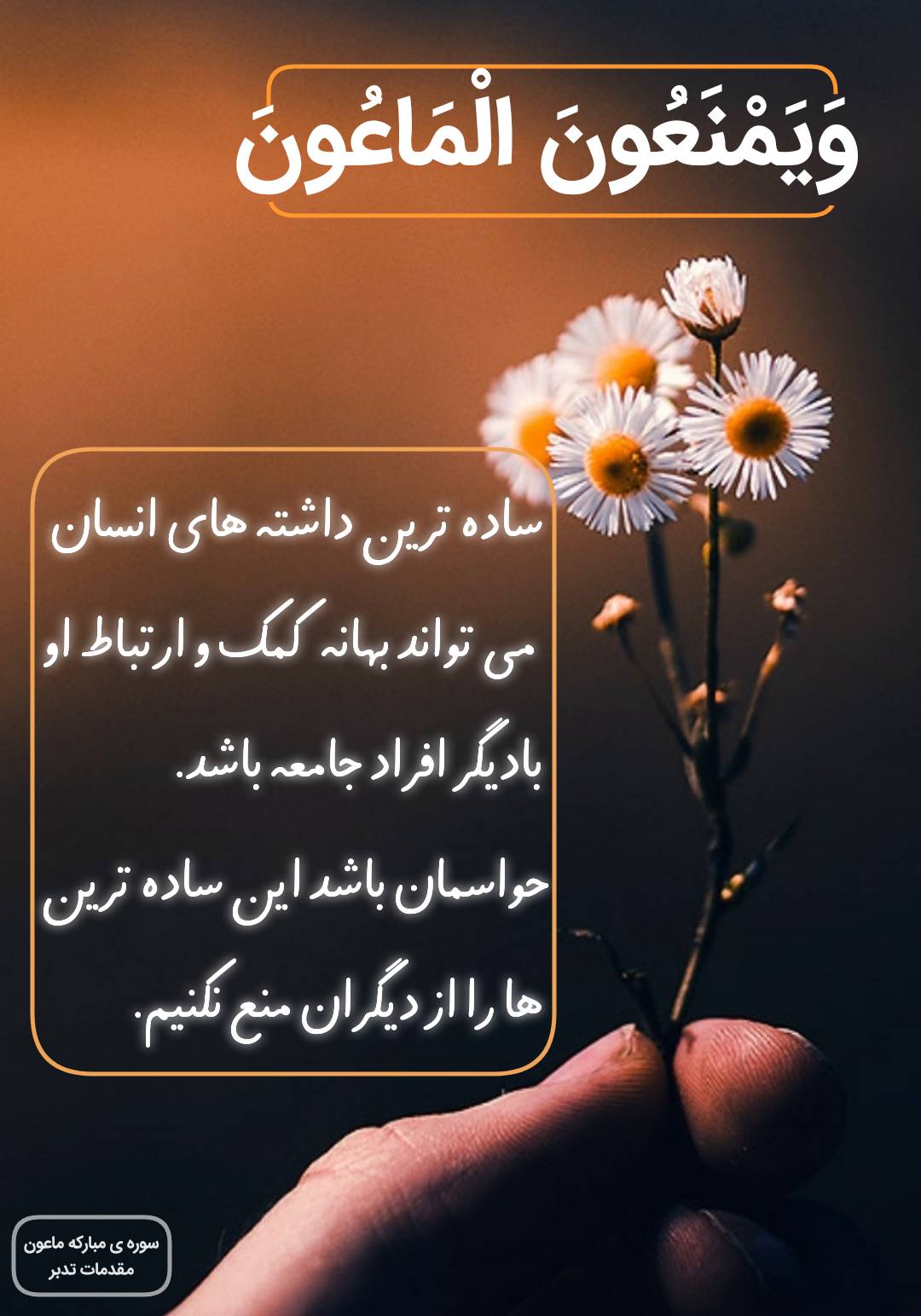 بلوغ اجتماعی