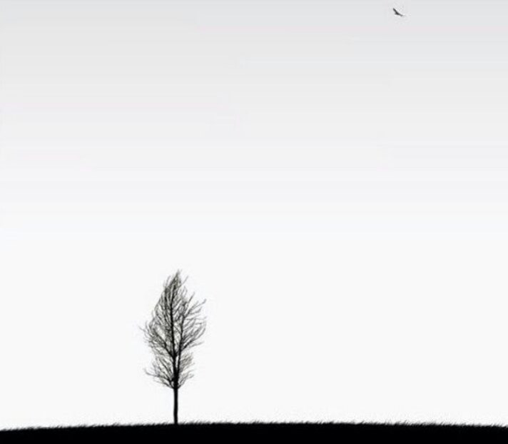 غریب یا غریبه