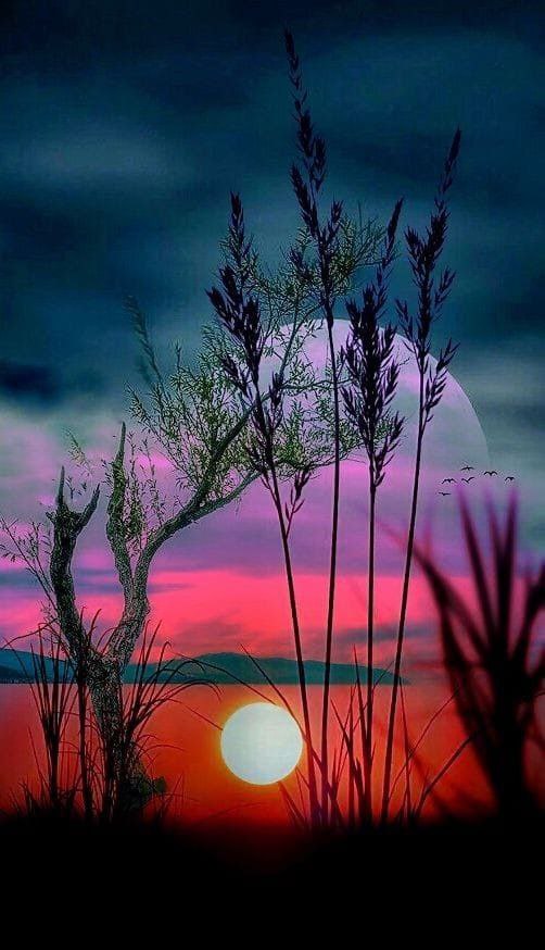 فرق تواضع با تظاهر