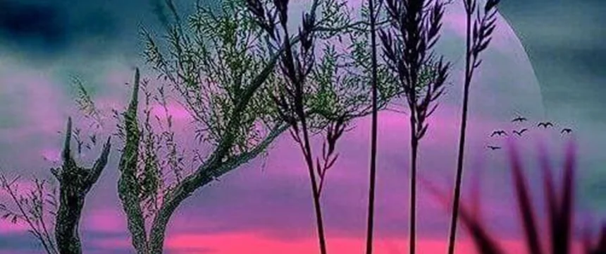 فرق تواضع با تظاهر