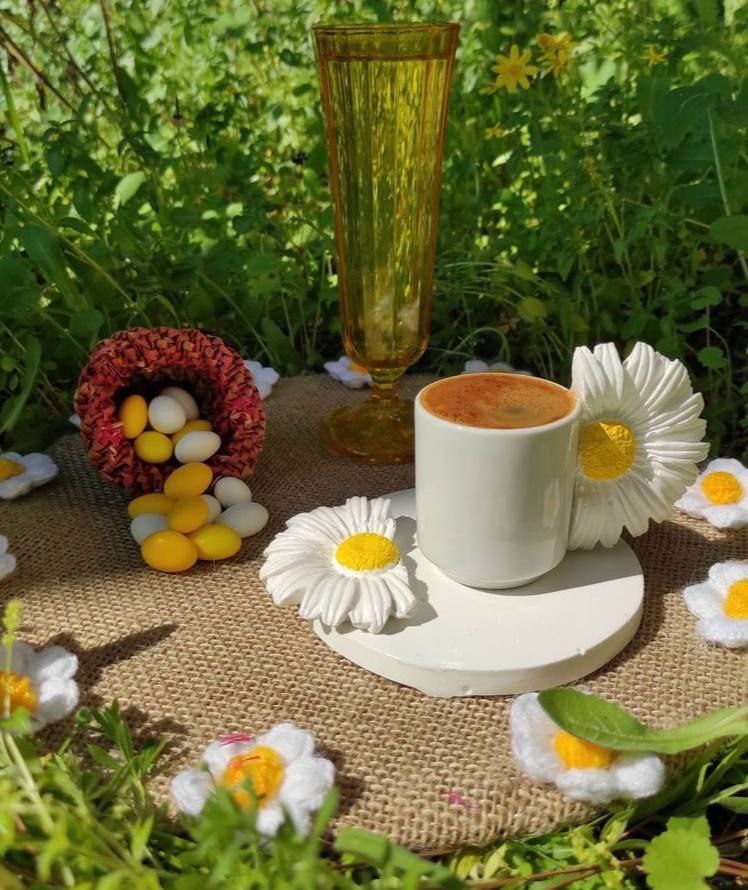 بهترین گزینه