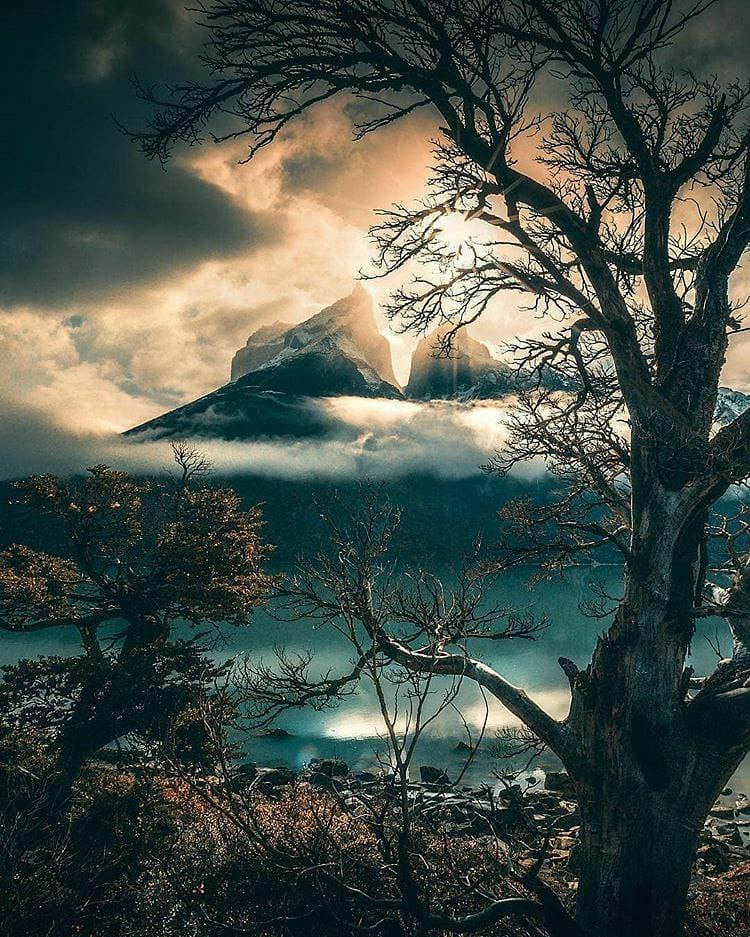 چه کسی حرف می زند؟