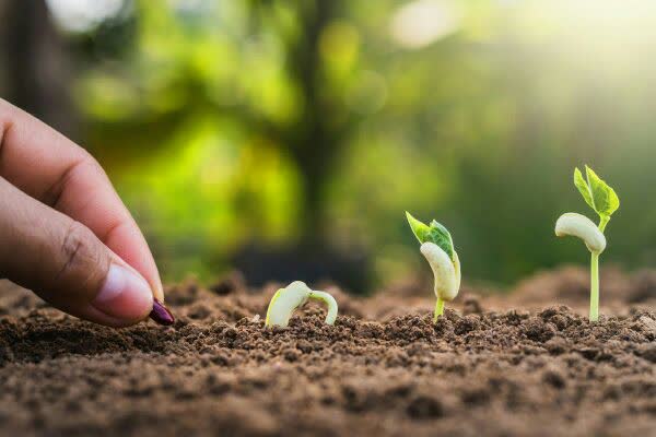 توجه آگاهانه