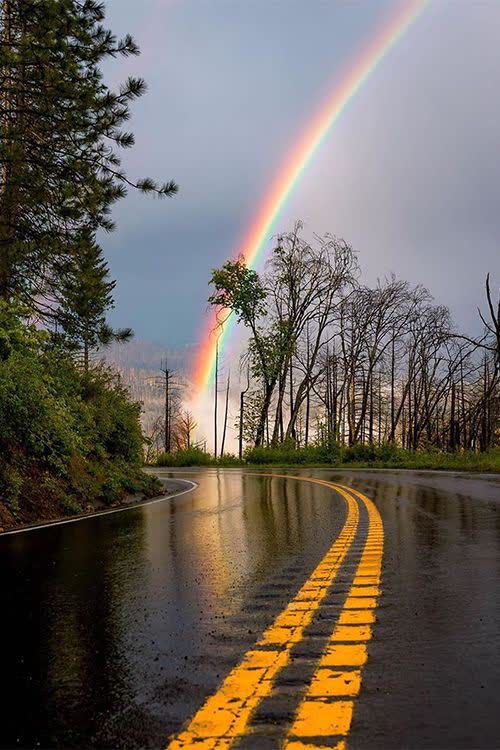 مبدا و مقصد محبت