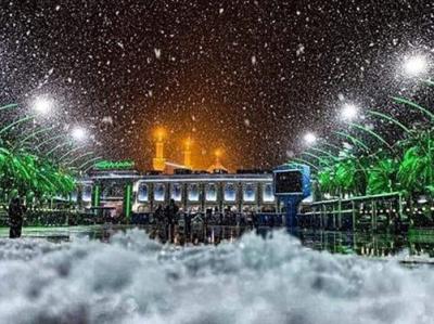 من هم یک فطرسم