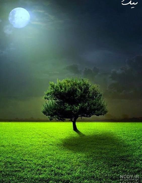 پسرم! من مقصرم...