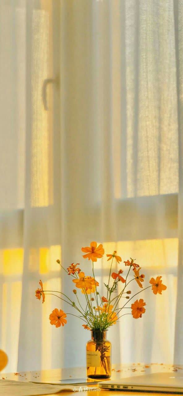 طبیعی ترین راز