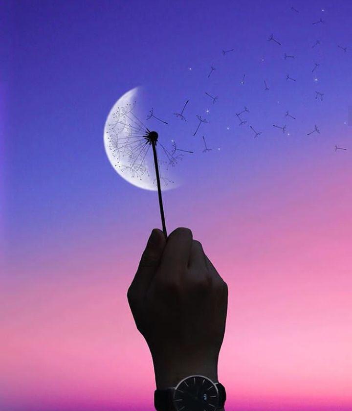 استعدادت را دریاب...