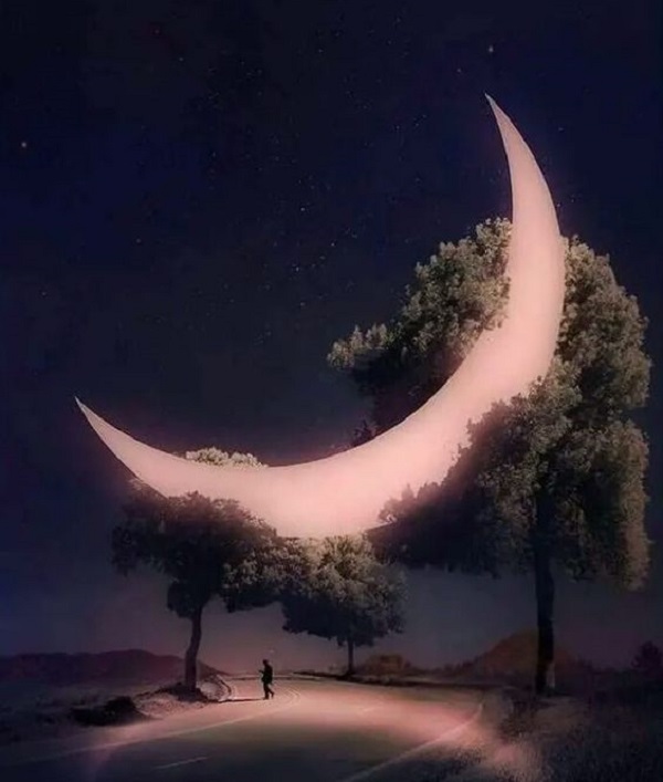 من، عمل، امام