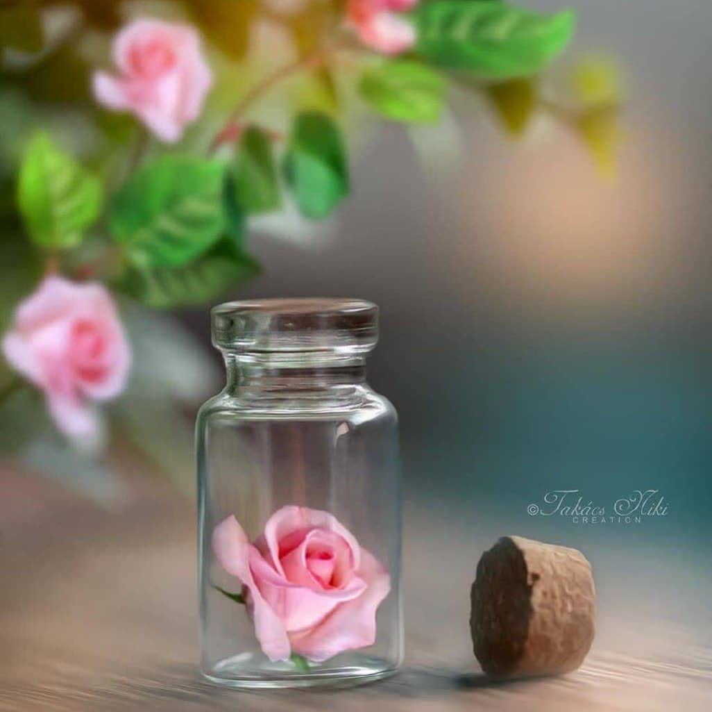 تنهاتر از تنها