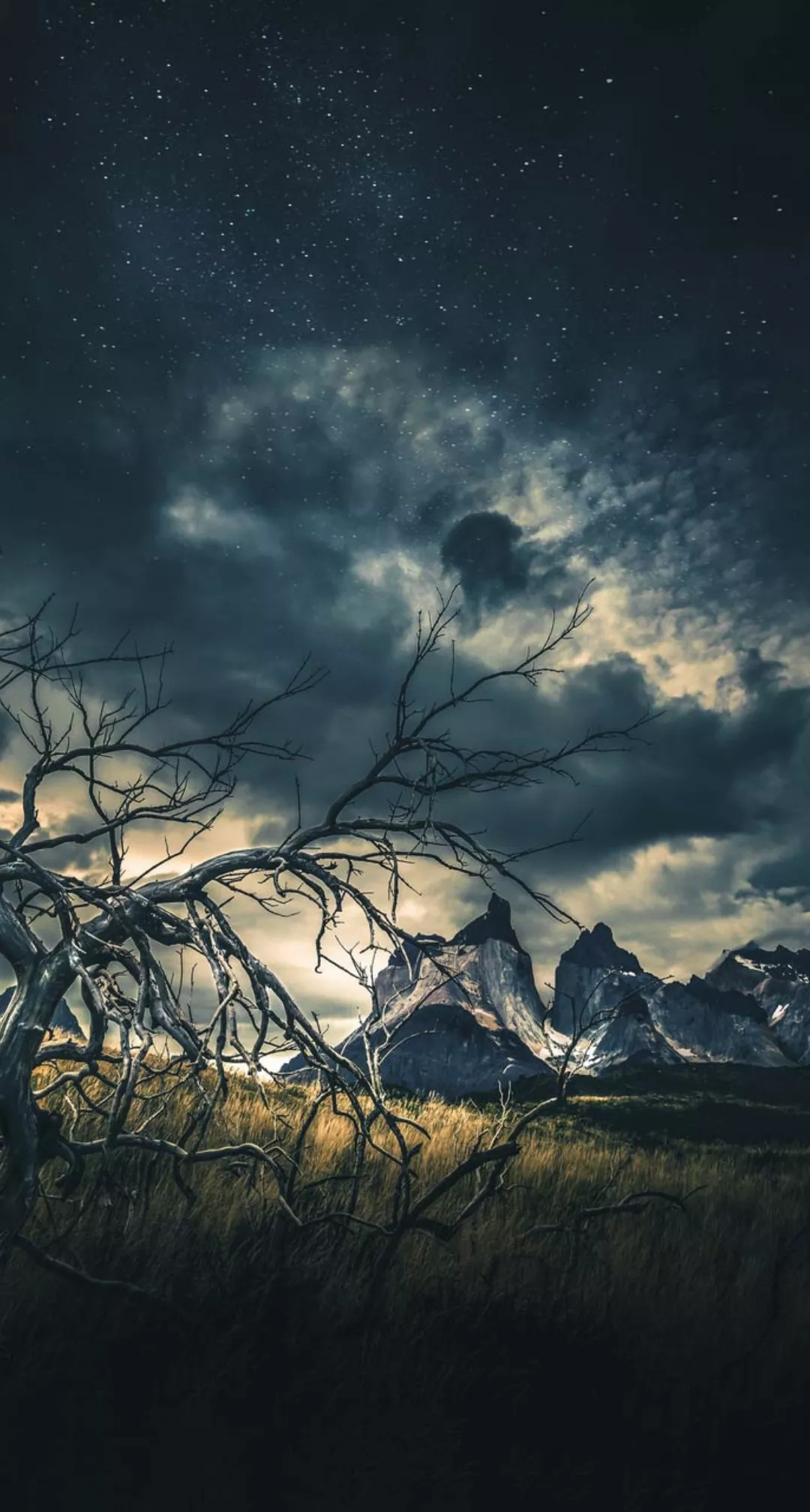 باغ بدون باغبان