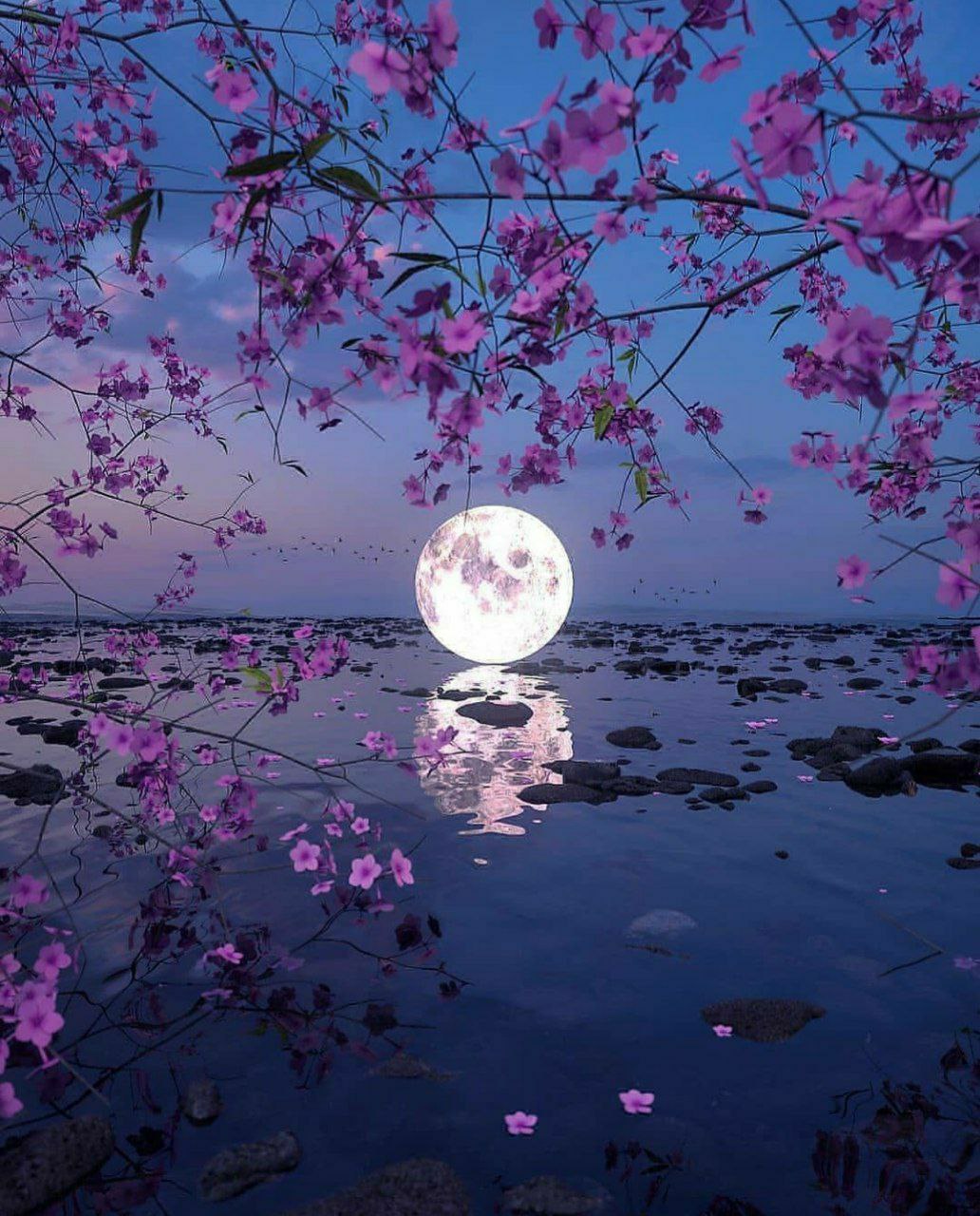 فقط همین یک بوسه