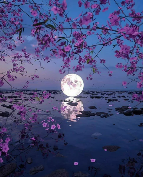 فقط همین یک بوسه