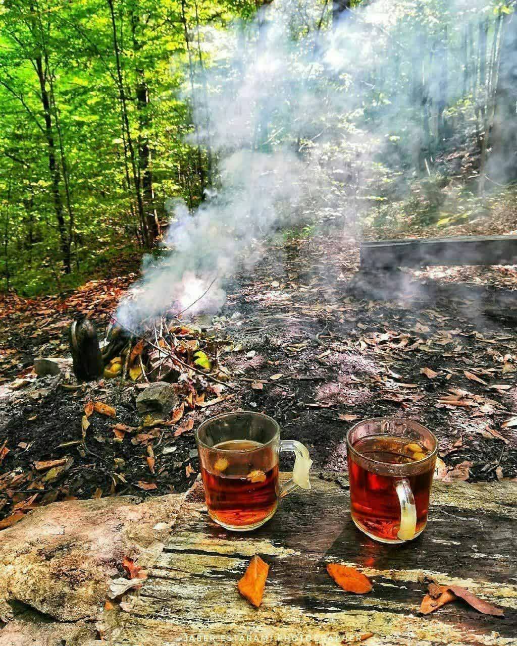 توقع ممنوع!