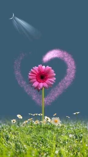 نامه ای به آسمان