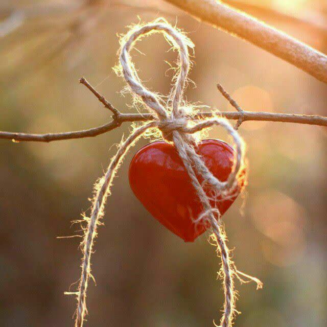 تفاوت دلبستگی و وابستگی